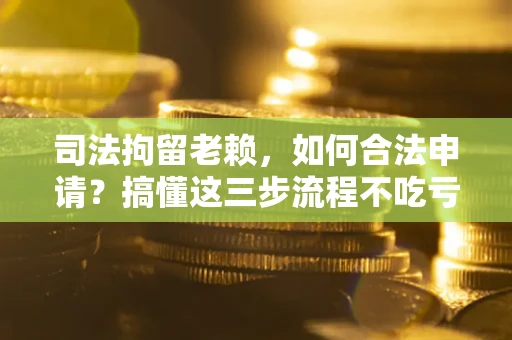 武汉司法拘留老赖，如何合法申请？搞懂这三步流程不吃亏！