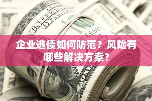 武汉企业逃债如何防范？风险有哪些解决方案？