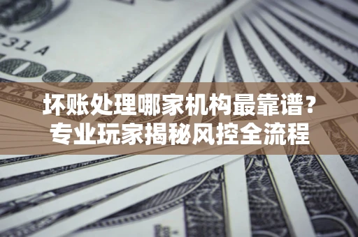 武汉坏账处理哪家机构最靠谱？专业玩家揭秘风控全流程