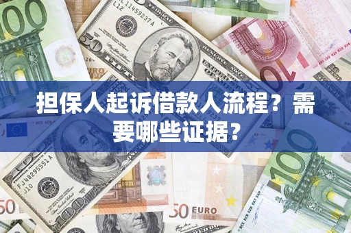 武汉担保人起诉借款人流程？需要哪些证据？