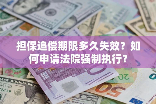 武汉担保追偿期限多久失效？如何申请法院强制执行？