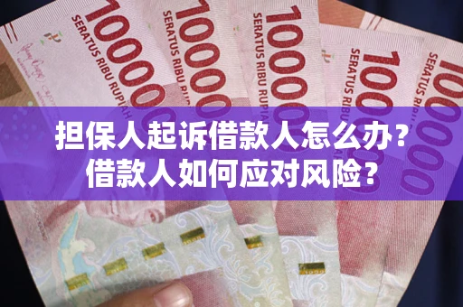 武汉担保人起诉借款人怎么办？借款人如何应对风险？
