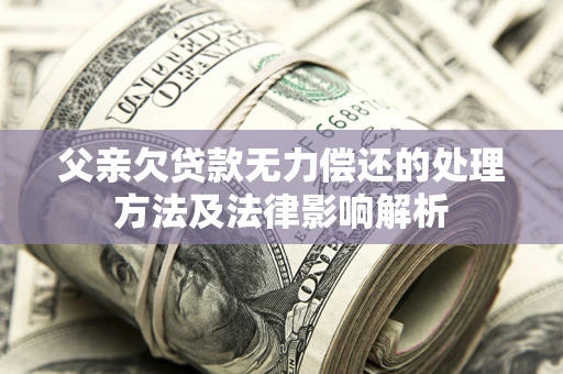 武汉父亲欠贷款无力偿还的处理方法及法律影响解析