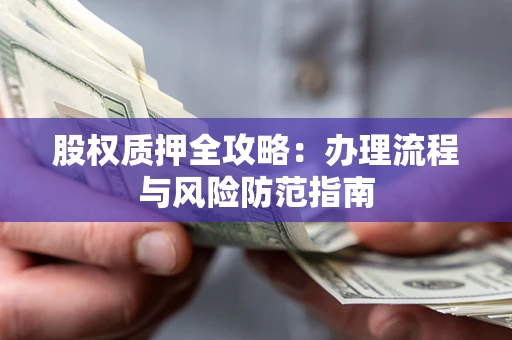 武汉股权质押全攻略：办理流程与风险防范指南