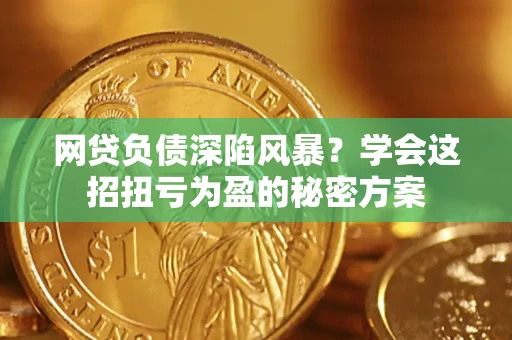 武汉网贷负债深陷风暴？学会这招扭亏为盈的秘密方案